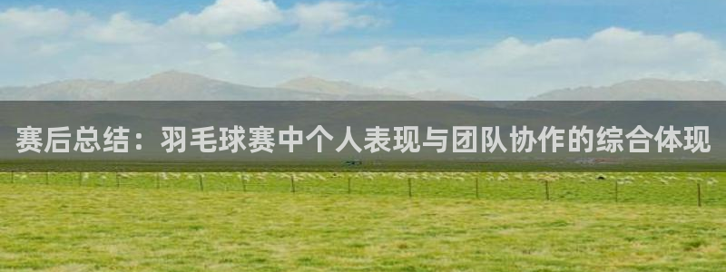  赛后总结：羽毛球赛中个人表现与团队协作的综合体现