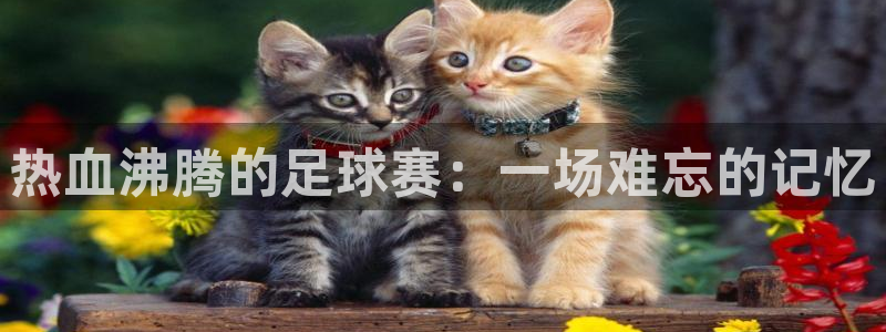 热血沸腾的足球赛：一场难忘的记忆