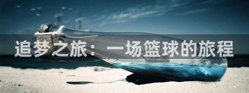  追梦之旅：一场篮球的旅程
