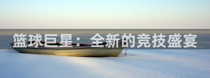  篮球巨星：全新的竞技盛宴