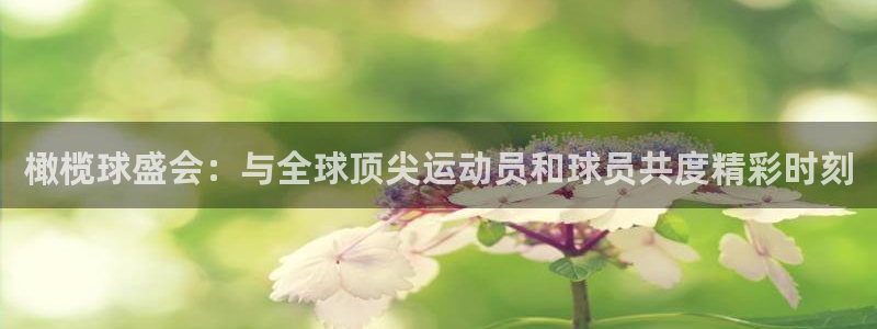  江南jn体育网页版：橄榄球盛会：与全球顶尖运动员和球员共度精