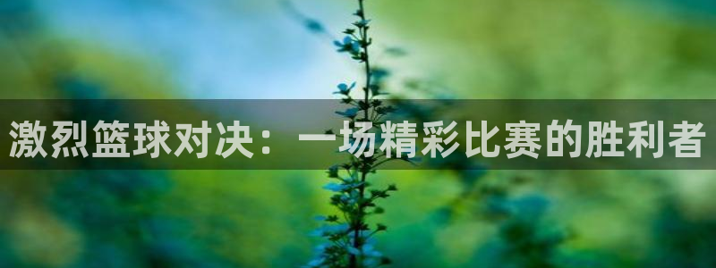 jn江南·体育登录入口：激烈篮球对决：一场精彩比赛的胜利者