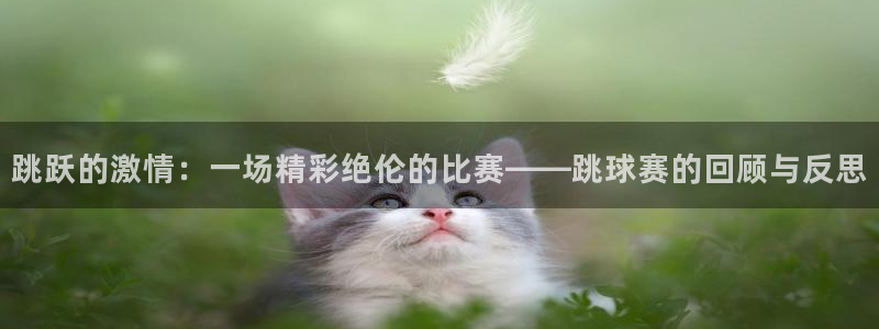 江南jn体育官方网：跳跃的激情：一场精彩绝伦的比赛——跳球赛