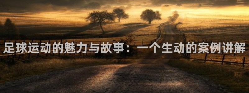 江南jn体育官方网站：足球运动的魅力与故事：一个生动的案例讲