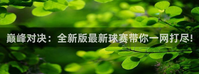 jn江南·体育网页版：巅峰对决：全新版最新球赛带你一网打尽!
