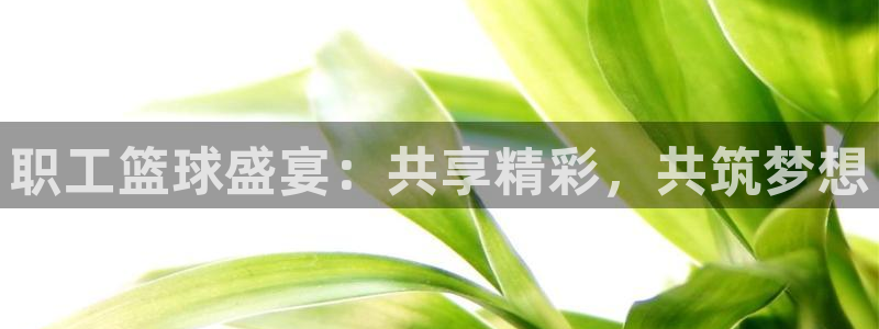 江南jn体育官方网：职工篮球盛宴：共享精彩，共筑梦想