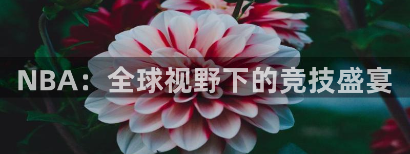  江南jnsport体育：NBA：全球视野下的竞技盛宴